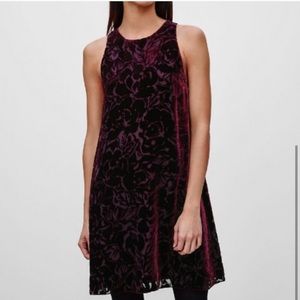 Wilfred Pompette Velvet Burgundy Dress sz xs